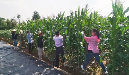 学技能 炼意志 强担当 杭州种业集团深化青年员工培养锻炼工程