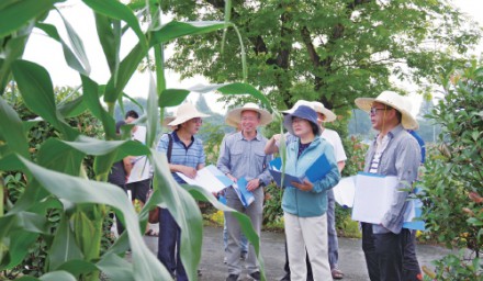 农民日报专题报道2020全国·浙江鲜食玉米大会