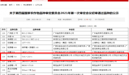 种业振兴在行动 | 又一项“零的突破”！杭州种业集团联合研发的鲜食糯玉米新品种‘杭彩糯710’通过国家级初审