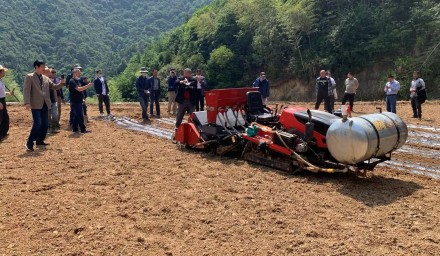 节水抗旱稻机直播暨高产高效技术培训会在建德举办