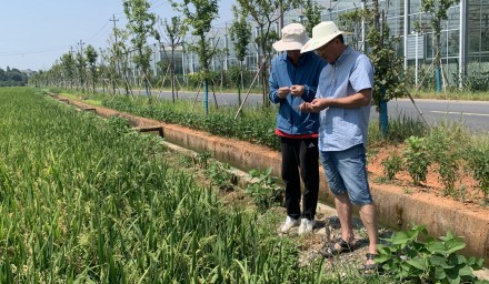 省市县有关种子管理部门联合赴集团储备种子生产基地督查检查