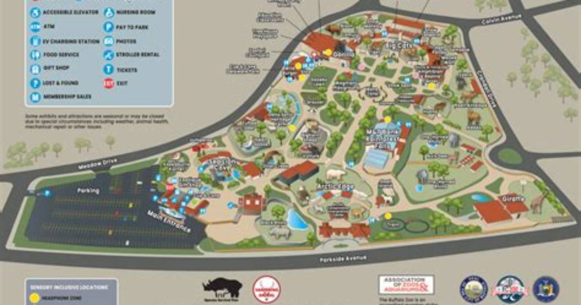 Exploring Buffalo Zoo: a Comprehensive Guide to One of America's Oldest Zoos