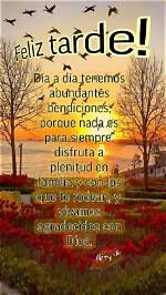 Feliz Tarde Bendiciones: Embracing the Evening Blessings in Everyday Life