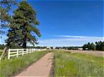 Heber Az: the Rise of a Social Media Influencer
