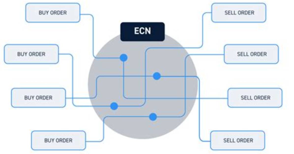 Hq Ecns Usps Meaning: a Comprehensive Guide to Tracking Your Usps Shipments