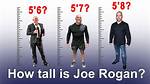 Joe Rogan: Exploring His Weight and Height - a Comprehensive Guide