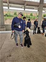 K9 Lady: the Inspiring Journey of a Dog Trainer and Advocate