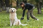 K9Lady: Empowering Dog Owners Through Expertise and Community