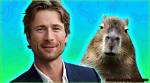 Understanding the Capybara Meme Phenomenon: a Deep Dive